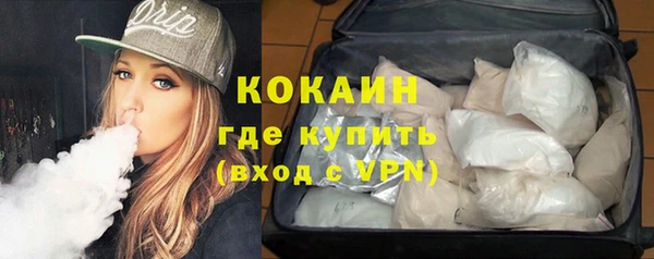 дживик Верхний Тагил