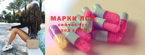 дживик Верхний Тагил