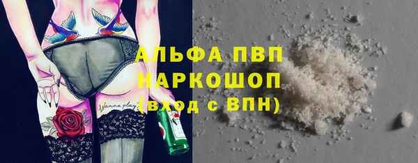 дживик Верхний Тагил
