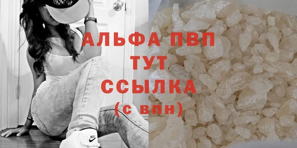 дживик Верхний Тагил